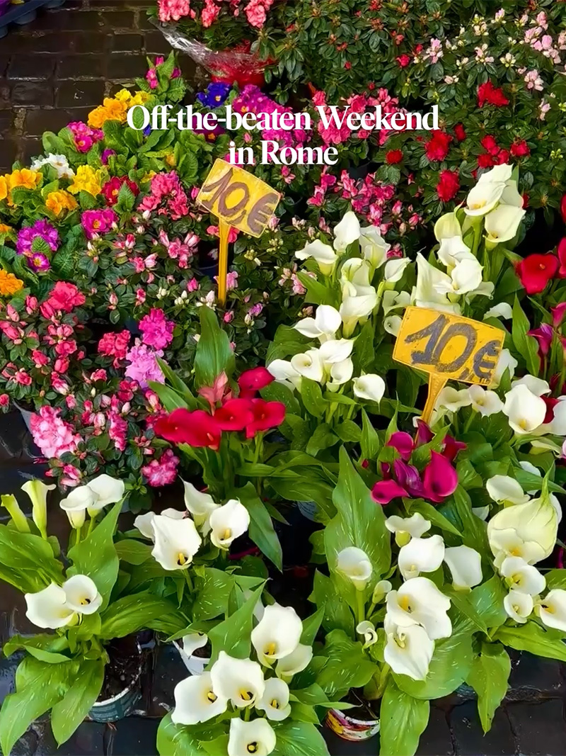 03 Weekend